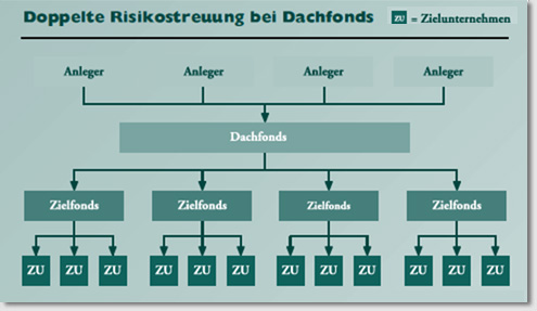 Risikostreuung